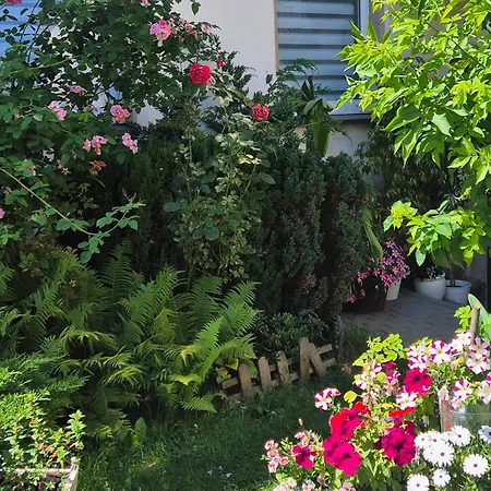 Dormar I * Валбжих